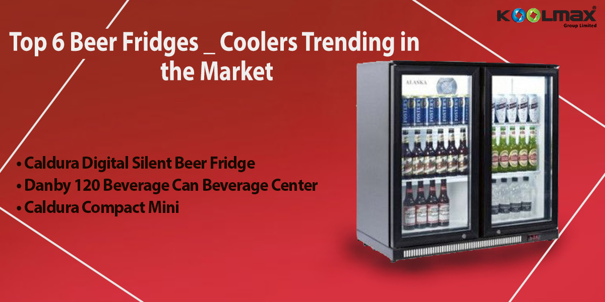 Top 6 Beer Fridges _ Coolers Trending in the Market.