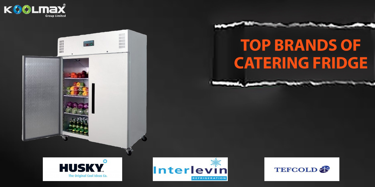 Top Brands of Catering Fridge