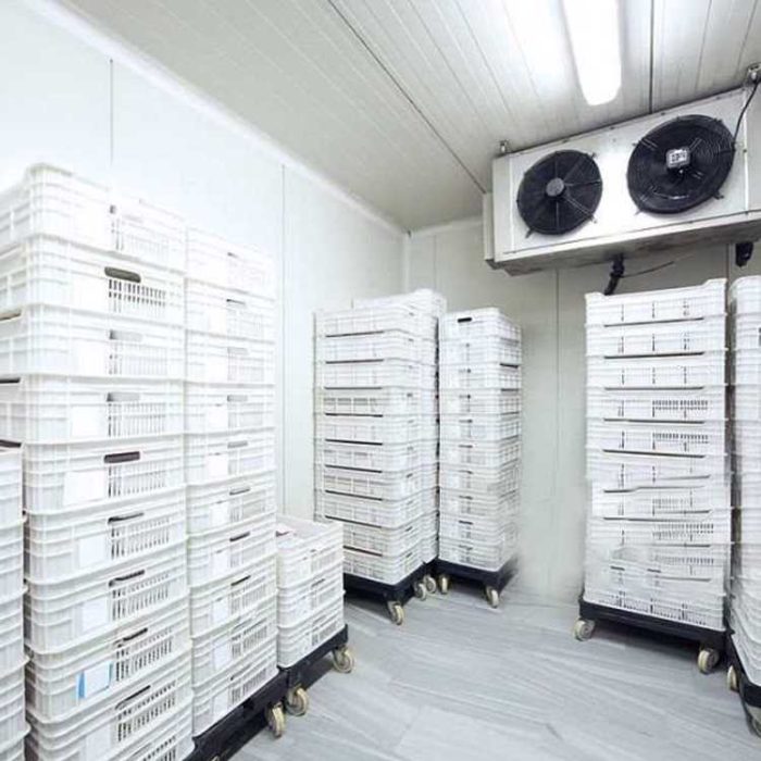Koolmax Bespoke Freezer Room